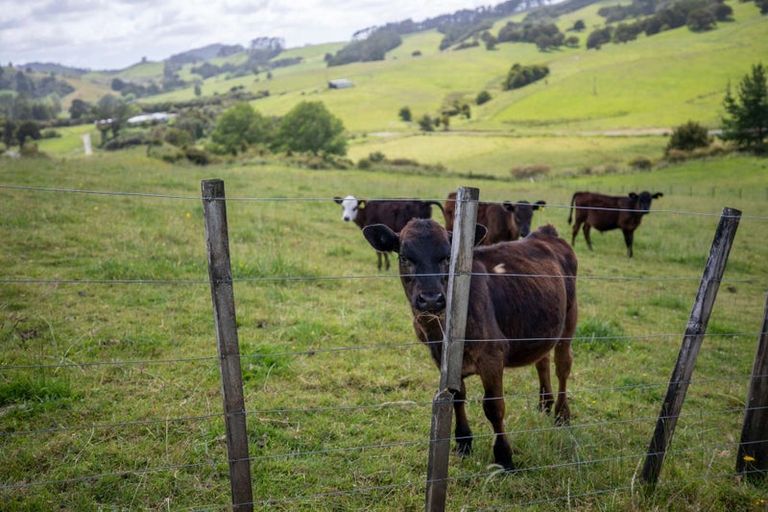 Photo of property in 450 Komokoriki Hill Road, Makarau, Warkworth, 0981