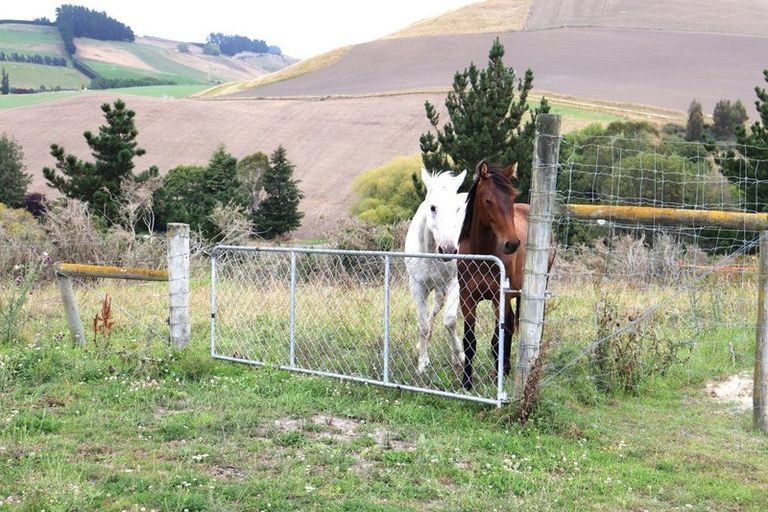Photo of property in 919 Ngapara-georgetown Road, Ngapara, Oamaru, 9494