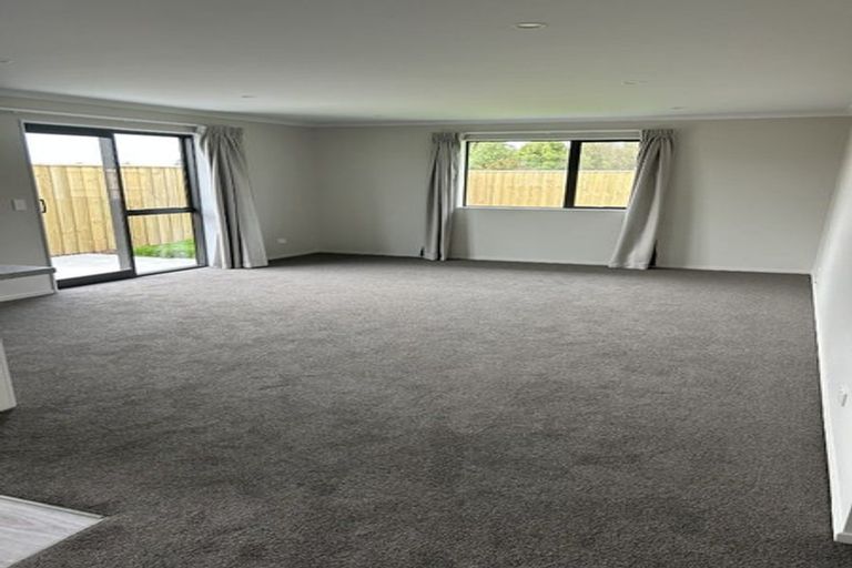 Photo of property in 41 Henshaw Street, Woodend, 7610