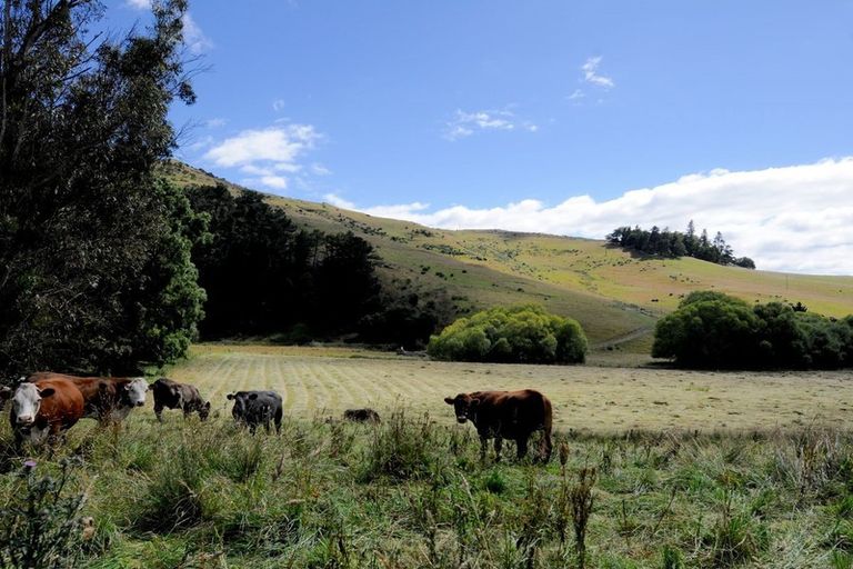 Photo of property in 30 Stenhouse Road, Mount Trotter, Palmerston, 9481