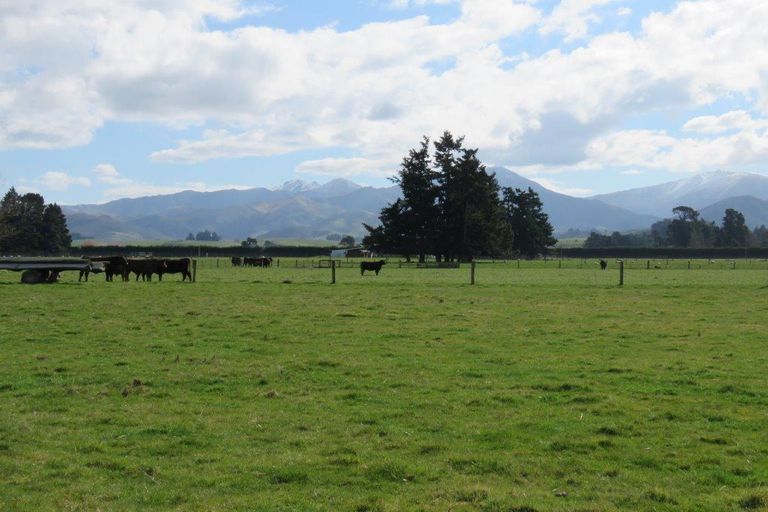 Photo of property in 675 Woodbury Road, Woodbury, Geraldine, 7991