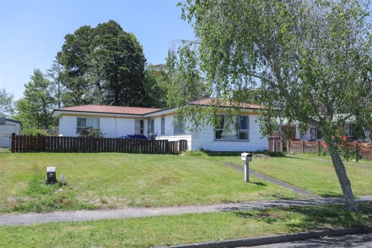 Photo of property in 39 James Henry Crescent, Huntly, 3700