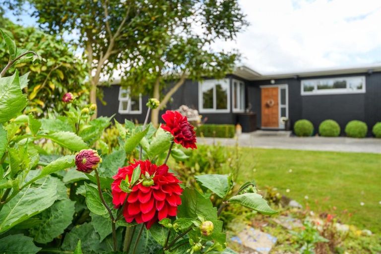 Photo of property in 58 Skerman Street, Marton, 4710