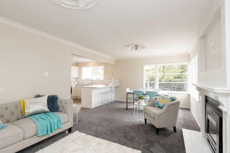 Photo of property in 394 Ruahine Street, Terrace End, Palmerston North, 4410