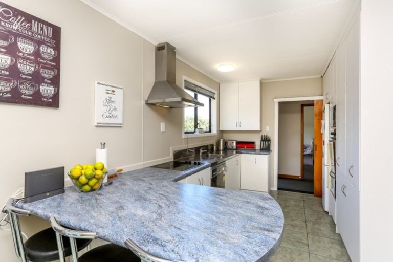 Photo of property in 117 Omata Road, Marfell, New Plymouth, 4310