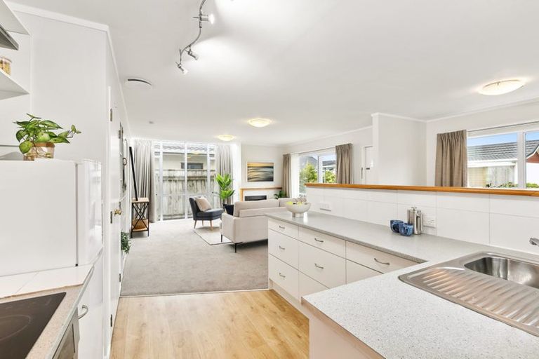 Photo of property in 6 Macalister Place, Miramar, Wellington, 6022