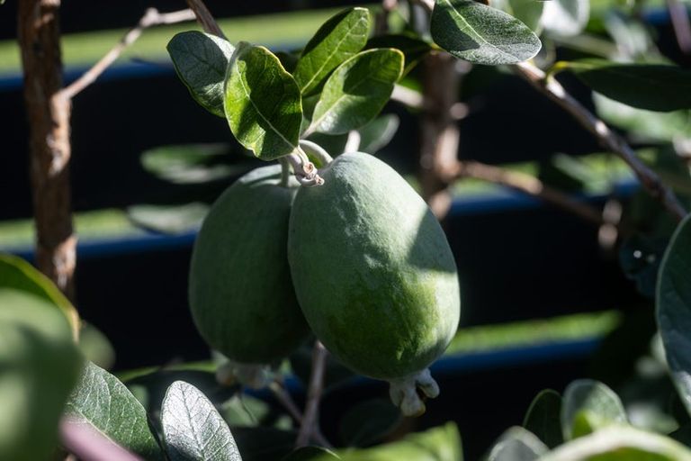 Photo of property in 29a Golf Vue Place, Castlecliff, Whanganui, 4501