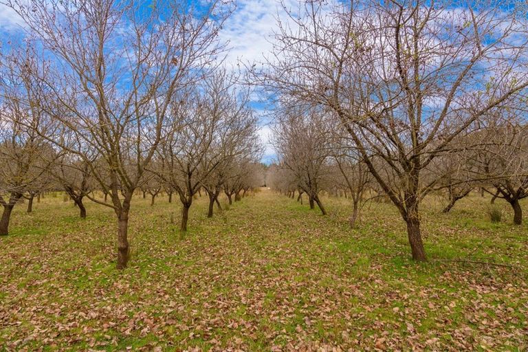 Photo of property in 244 Neal Road, Spring Creek, Blenheim, 7273