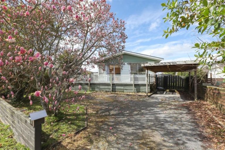 Photo of property in 29 Lethborg Street, Dinsdale, Hamilton, 3204