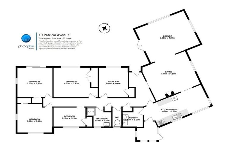 Photo of property in 19 Patricia Avenue, Hamilton East, Hamilton, 3216