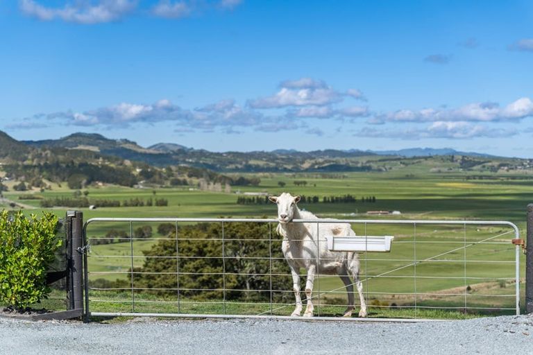 Photo of property in 361 Apotu Road, Kauri, Kamo, 0185
