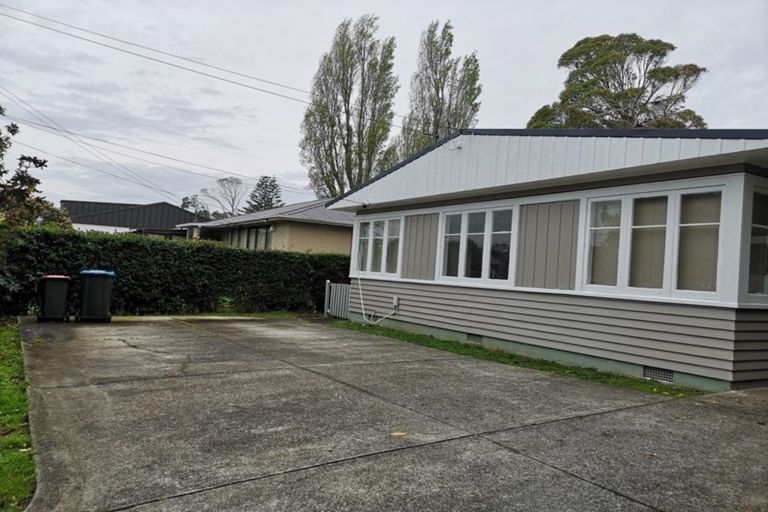 Photo of property in 19 Walters Road, Mount Wellington, Auckland, 1062