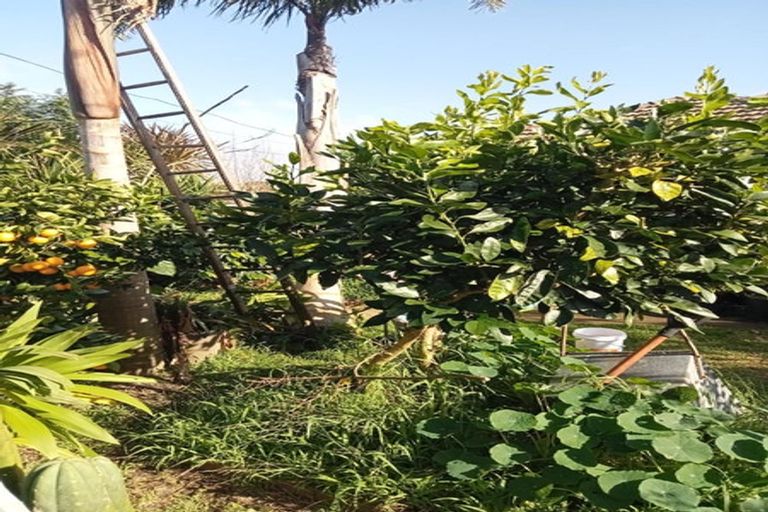 Photo of property in 40 Judea Road, Judea, Tauranga, 3110