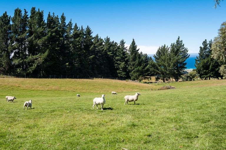 Photo of property in 179 Mcmaster Road, Saddle Hill, Dunedin, 9076