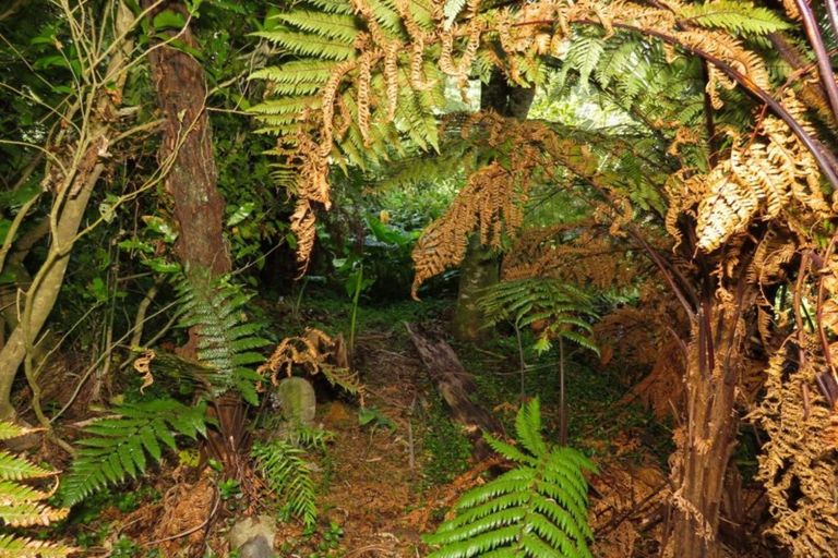 Photo of property in 17 Torea Street, Granity, 7823