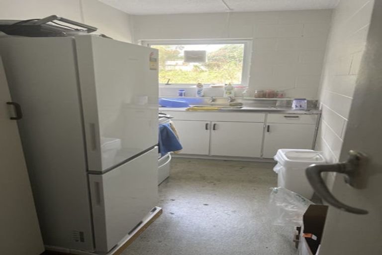 Photo of property in 56 Memorial Drive, Hamilton East, Hamilton, 3216