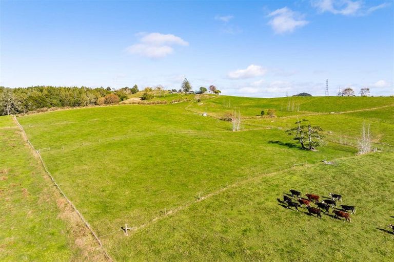 Photo of property in 103 Partridge Road, Wellsford, 0973