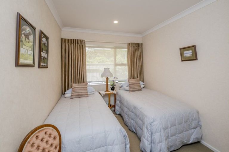 Photo of property in 91 Queen Street West, Levin, 5510