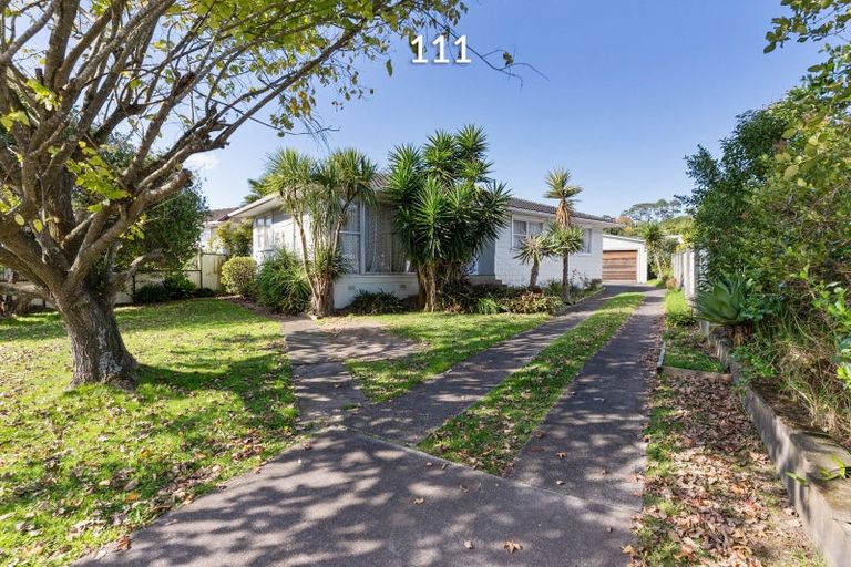 Photo of property in 103 Sunnynook Road, Forrest Hill, Auckland, 0620