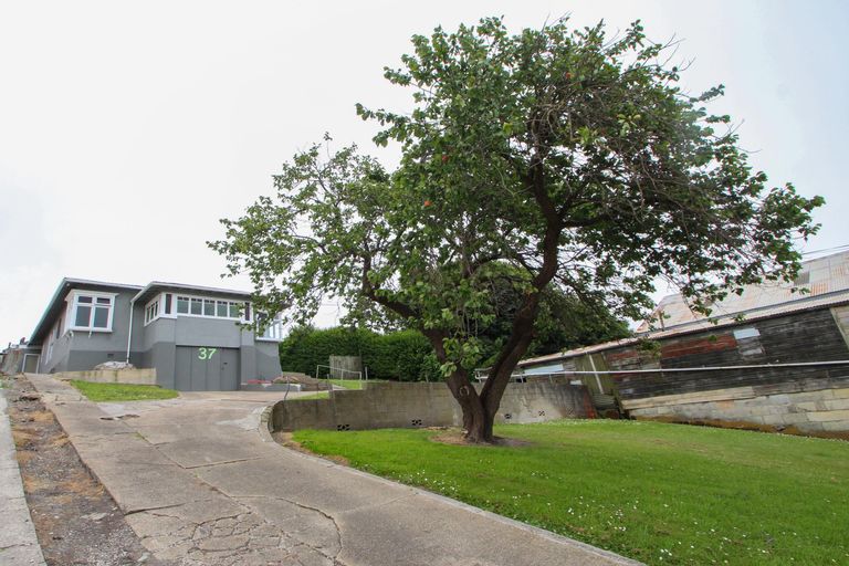 Photo of property in 37 Tyne Street, South Hill, Oamaru, 9400
