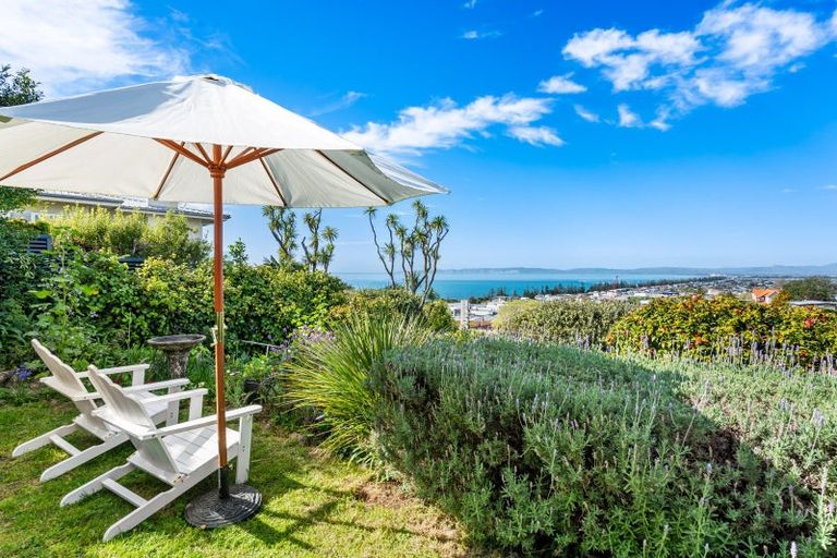 Photo of property in 14 Corry Avenue, Bluff Hill, Napier, 4110