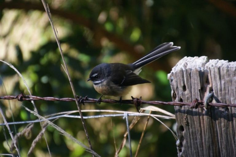 Photo of property in 275 Wainui Valley Road, Wainui, Akaroa, 7582