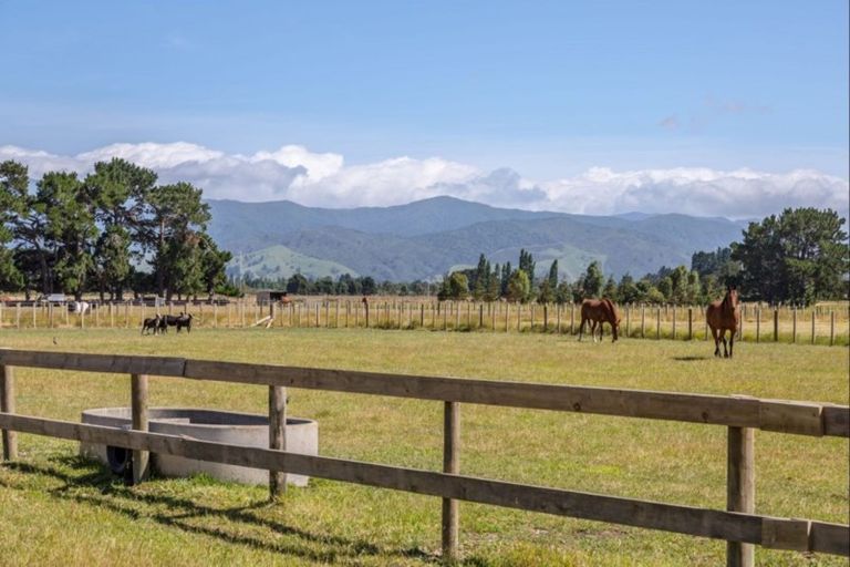 Photo of property in 90 Settlement Road, Morison Bush, Greytown, 5794