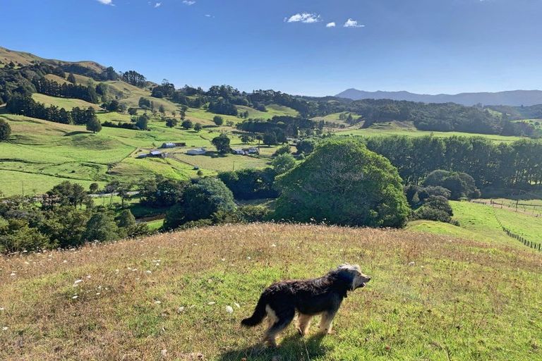 Photo of property in 73 Takahue Saddle Road, Takahue, Kaitaia, 0481