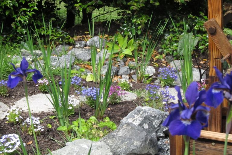 Photo of property in 9 Kakapu Road, Okiato, Russell, 0272