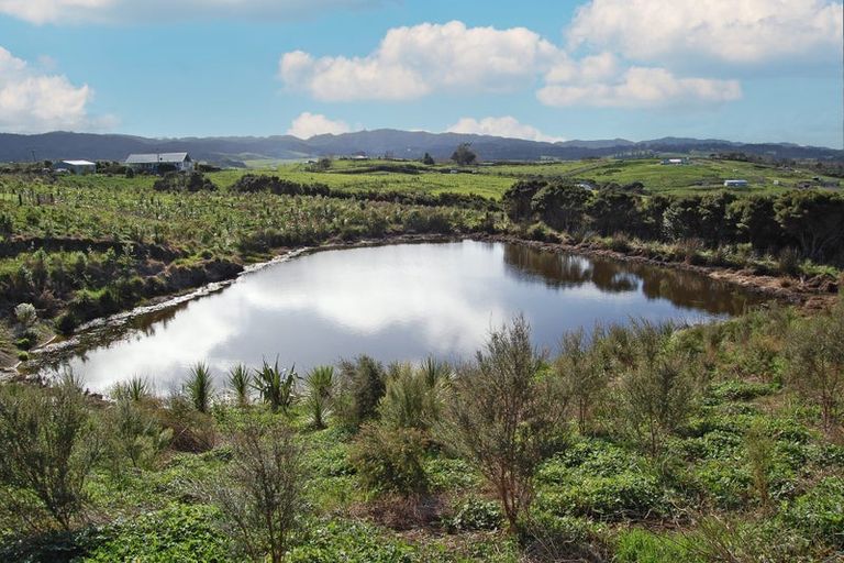 Photo of property in 599 Kaiwaka-mangawhai Road, Hakaru, Wellsford, 0975