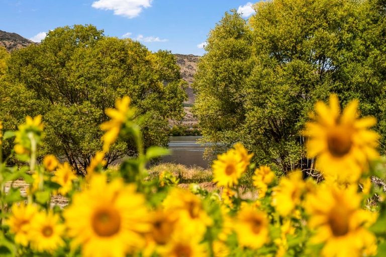 Photo of property in 20a Sugarloaf Drive, Mount Pisa, Cromwell, 9384