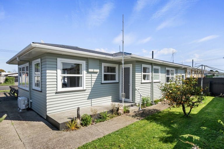 Photo of property in 1b Middlesex Street, Levin, 5510