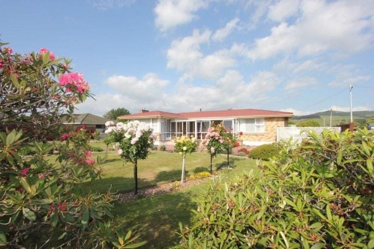 Photo of property in 174 Cambridge Avenue, Ashhurst, 4810