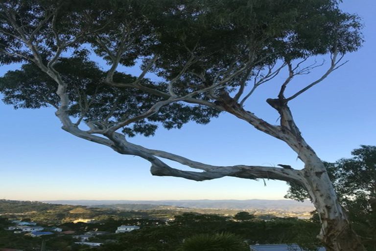 Photo of property in 2 Hoggard Street, Vogeltown, Wellington, 6021