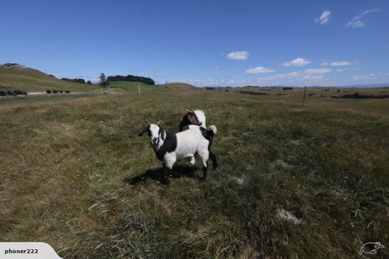 Photo of property in 761 Crownthorpe Sett Road, Crownthorpe, Hastings, 4179