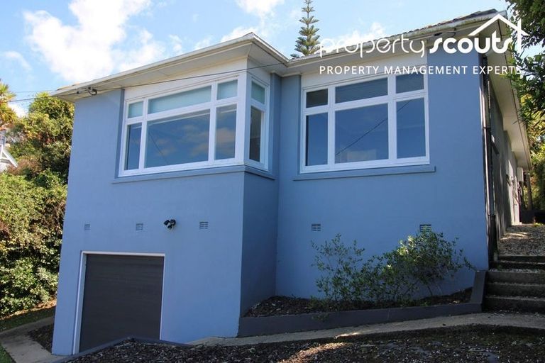 Photo of property in 14 Coney Hill Road, Saint Clair, Dunedin, 9012
