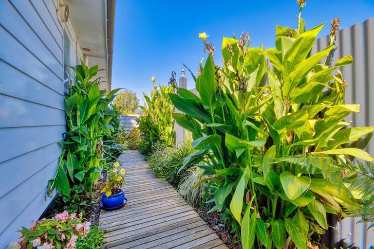 Photo of property in 72 Alexander Avenue, Onekawa, Napier, 4110