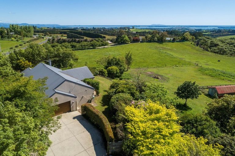 Photo of property in 200 Ross Road, Whakamarama, Tauranga, 3179