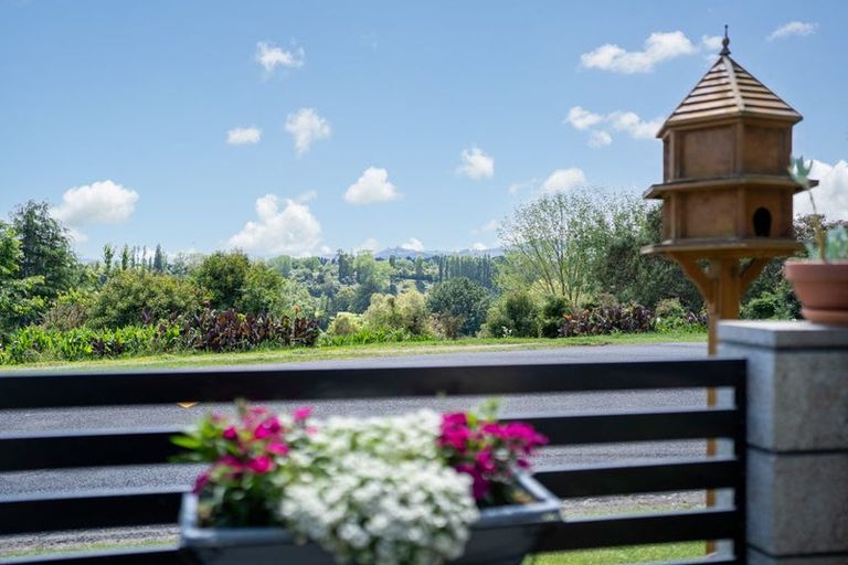 Photo of property in 7 Upper Kingsley Street, Leamington, Cambridge, 3432