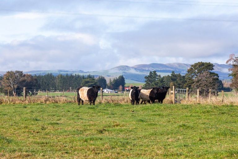 Photo of property in 128 Waihakeke Road, Waihakeke, Carterton, 5792