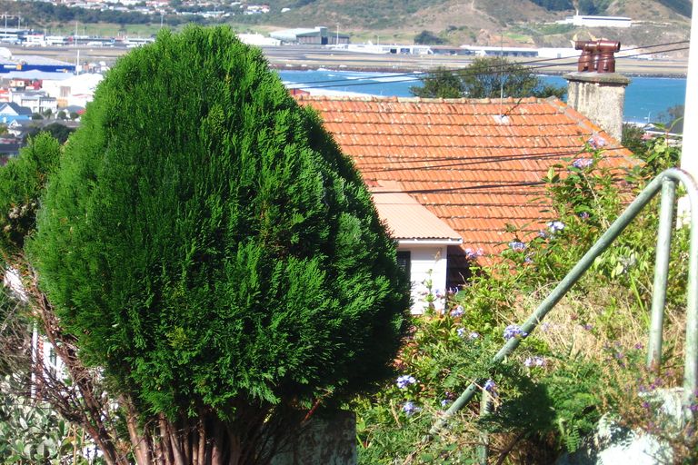 Photo of property in 30 Buckingham Street, Melrose, Wellington, 6023