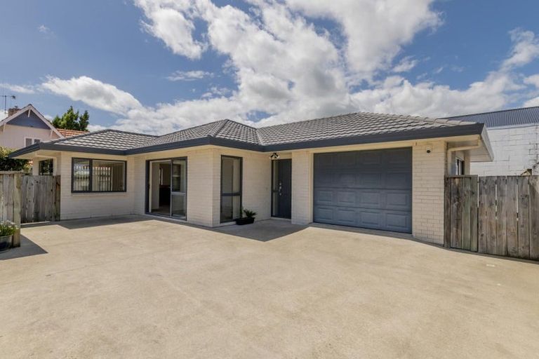 Photo of property in 46a Salisbury Street, Levin, 5510