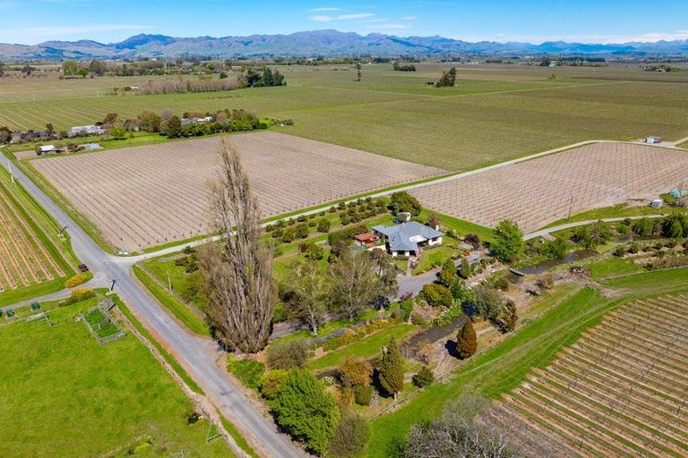 Photo of property in 189 Selmes Road, Rapaura, Blenheim, 7273