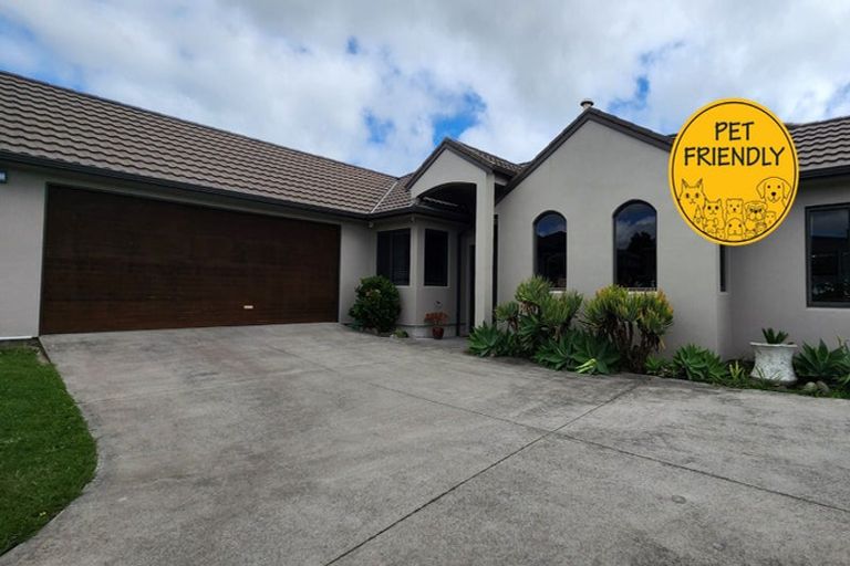 Photo of property in 41 Karamea Street, Whalers Gate, New Plymouth, 4310