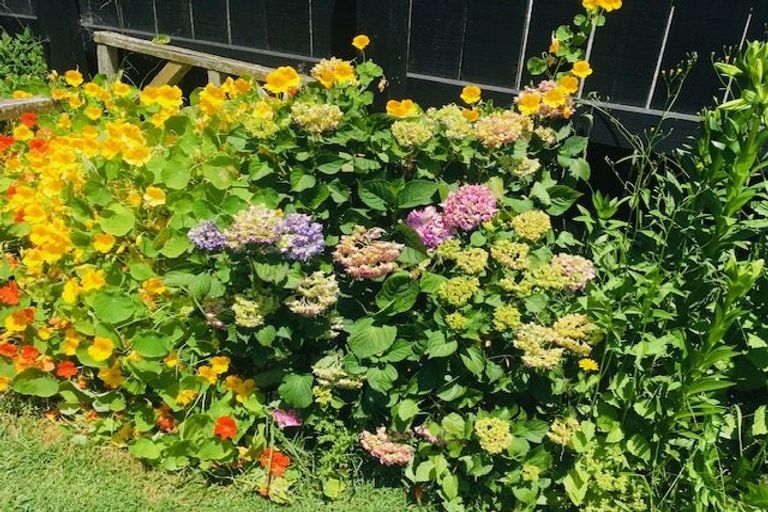 Photo of property in 1213 Caroline Road, Mayfair, Hastings, 4122