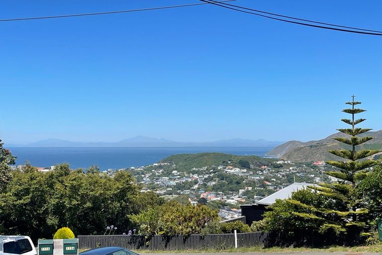 Photo of property in 111 Buckley Road, Southgate, Wellington, 6023