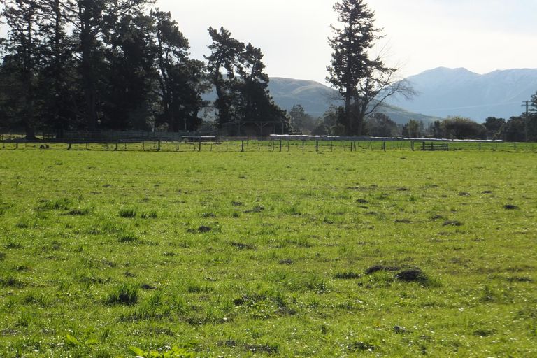 Photo of property in 675 Woodbury Road, Woodbury, Geraldine, 7991