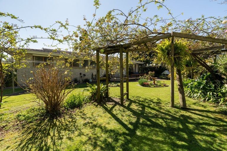 Photo of property in 236 Fraser Street, Tauranga South, Tauranga, 3112
