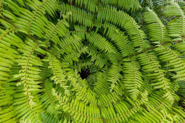 Photo of property in 47 Korimako Rise, Havelock, Picton, 7281