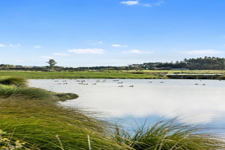 Photo of property in 19 Fauna Street, Halswell, Christchurch, 8025